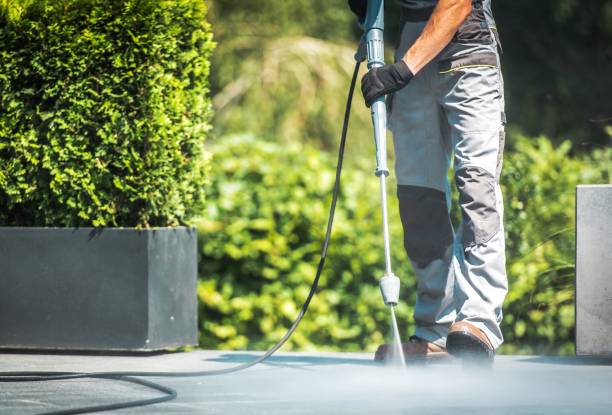 Best Pool Deck Cleaning  in Tinley Park, IL